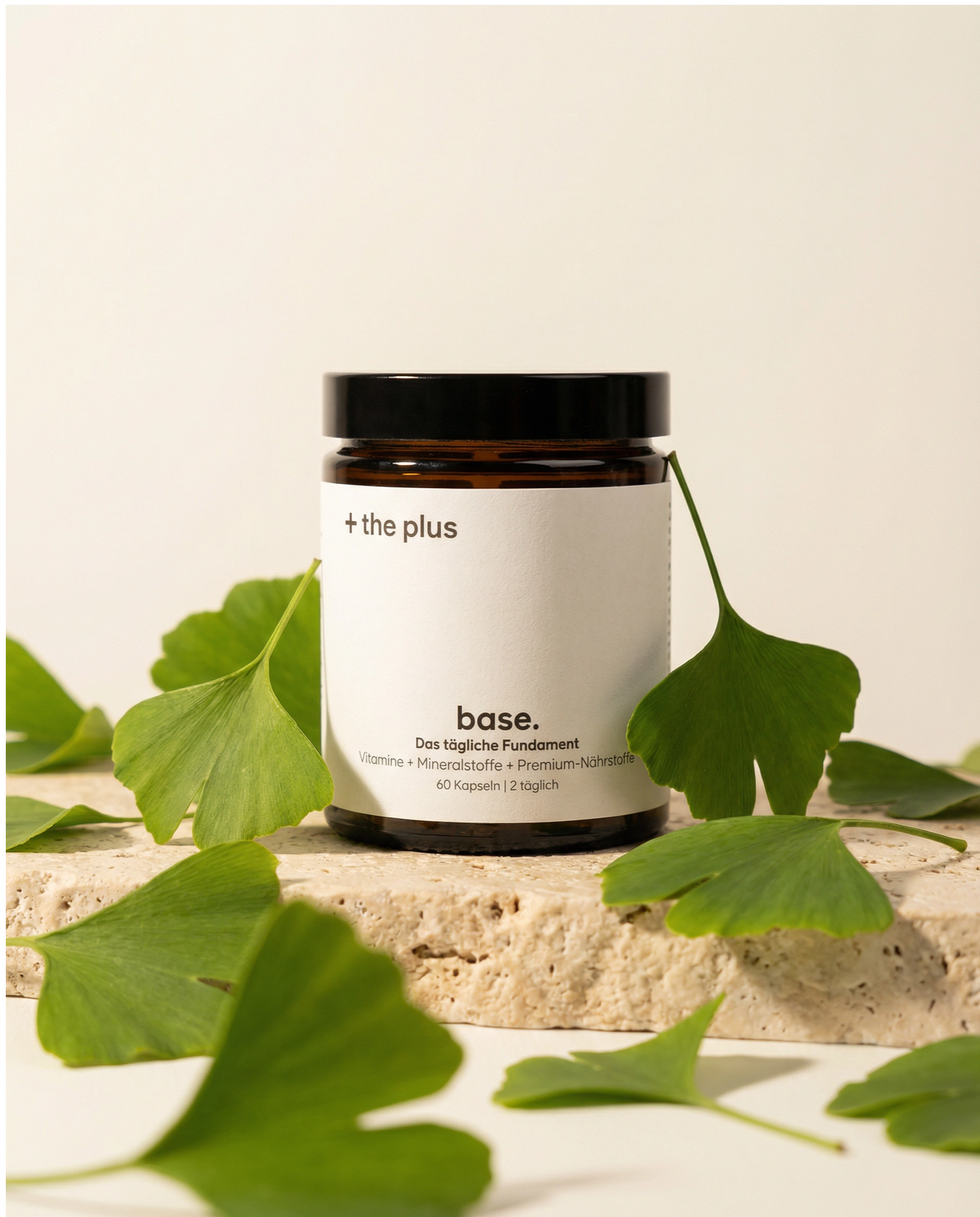 base. Glas neben frischen Ginkgo-Blättern auf Naturstein — Tradition trifft moderne Wissenschaft