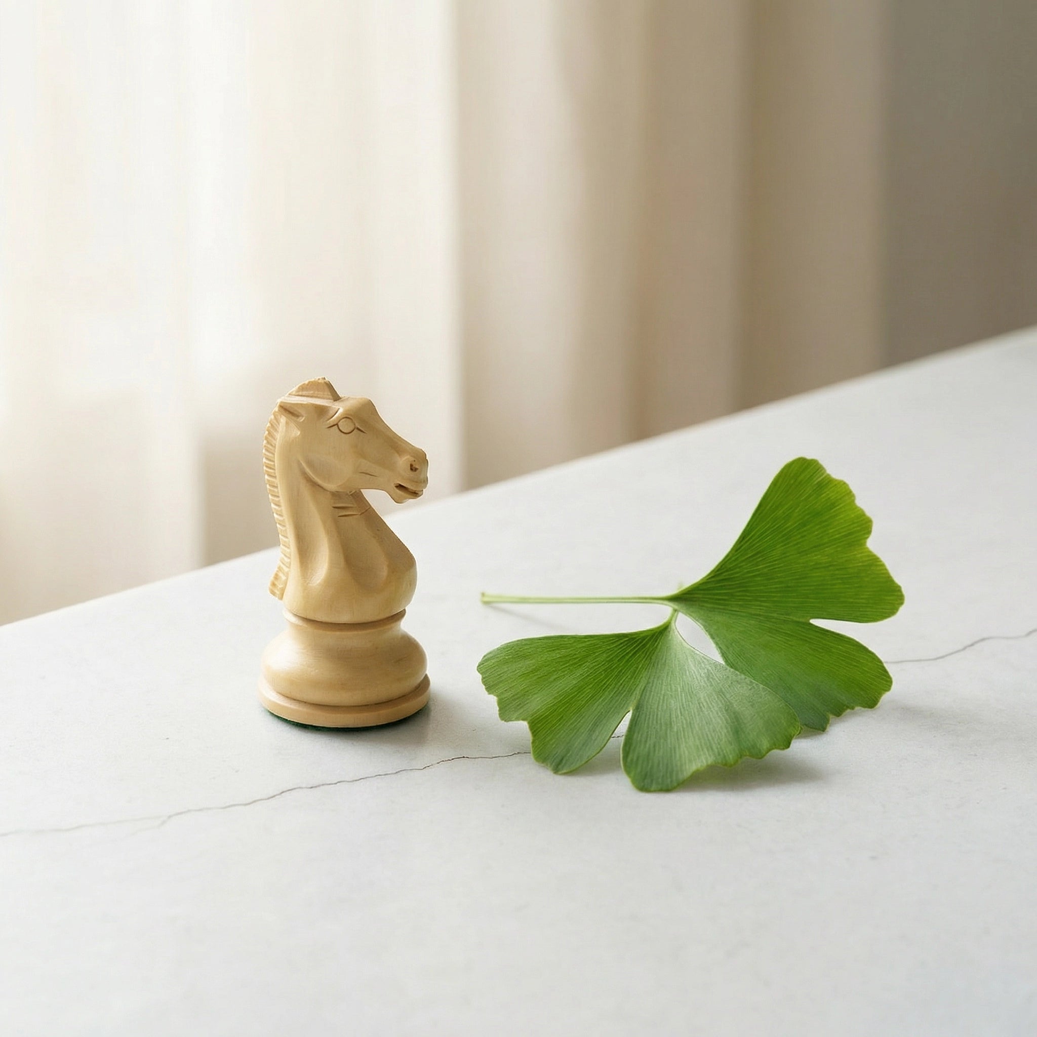 Ginkgo-Biloba-Illustration im Schach-Stil — der Springer in der base. Wirkstoff-Aufstellung